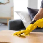 HOUSE CLEANING BUSINESS