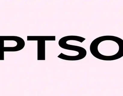 PTSO Meaning