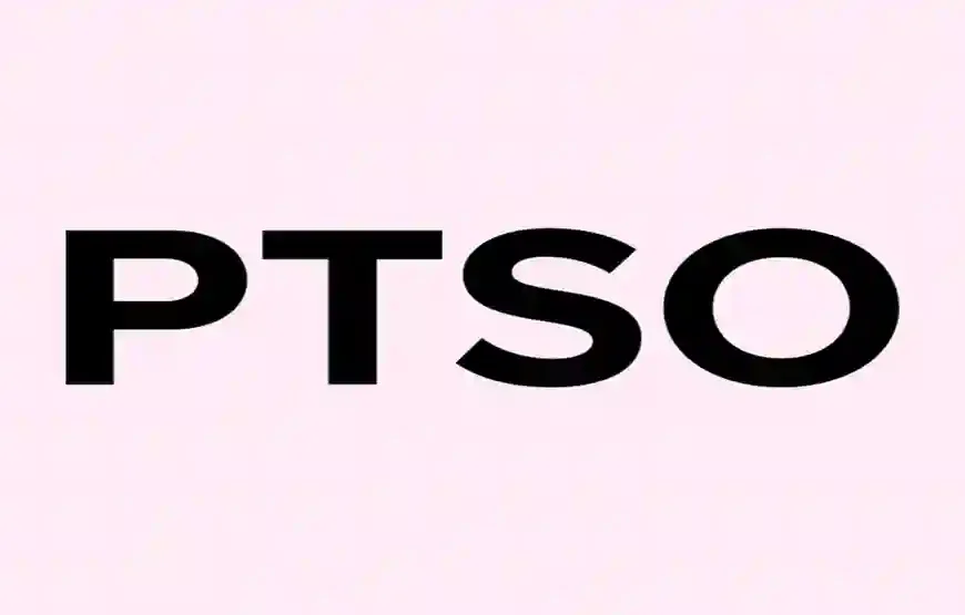 PTSO Meaning