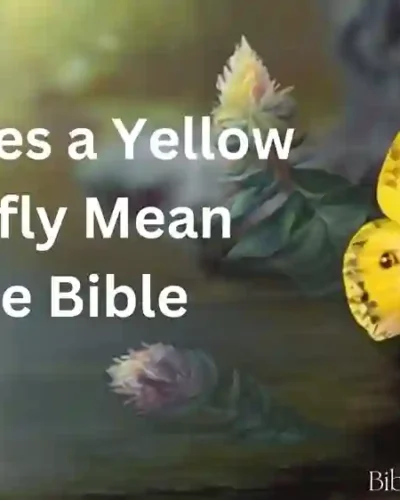 Yellow butterfly meaning